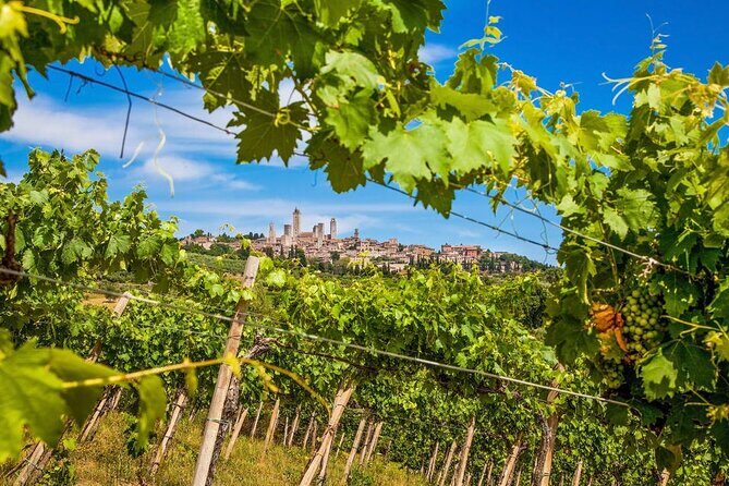 Private Tour Of Chianti with Wine Tastings - FAQs