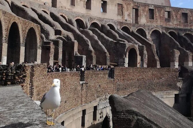 Private tour of Colosseo - Final Thoughts