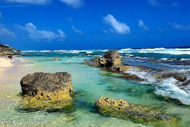 Private Tour of Cozumel in your own way Groups up to 4 People - FAQ