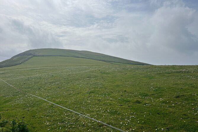 Private Tour of Dingle Peninsula from Killarney - Frequently Asked Questions