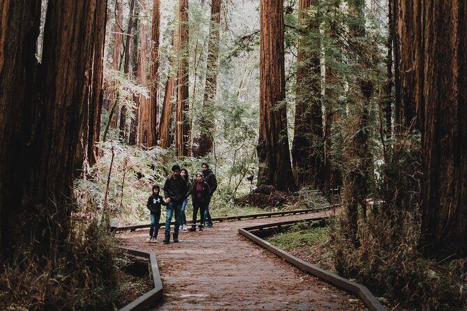 Private Tour of John Muir Redwoods and Sausalito - Key Points
