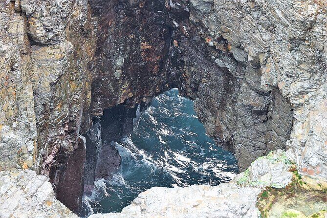 Private tour of Kiama Blowholes, Sea Cliff Bridge and Wattamolla - Exploring the Best of Sydney’s South Coast: A Detailed Review of the Private Kiama, Sea Cliff, and Wattamolla Tour