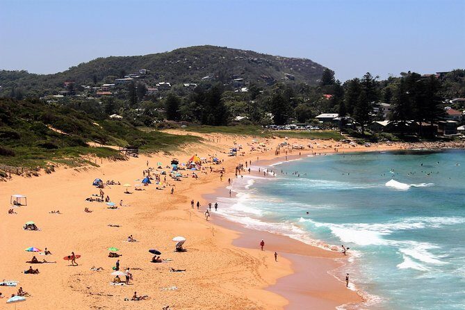 Private tour of Ku-Ring-Gai National Park and Northern Beaches - FAQ