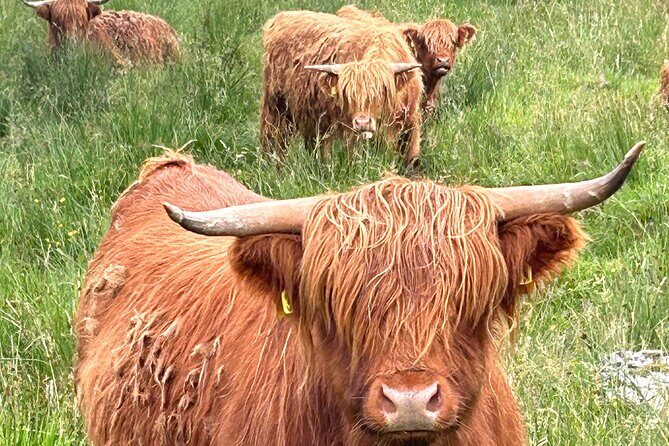 Private Tour of Loch Ness, Glencoe and Highlands from Edinburgh - FAQ