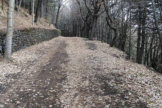 Private tour of Mount Etna and the Alcantara Gorges - A Deep Dive into the Experience