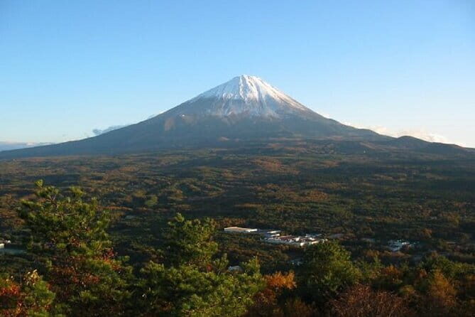 Private Tour of Mt. Fuji Culture and Nature Walk - Authentic Insights from Past Participants