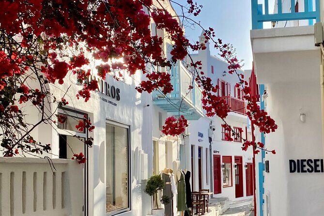 Private Tour Of Mykonos Included Town - FAQ