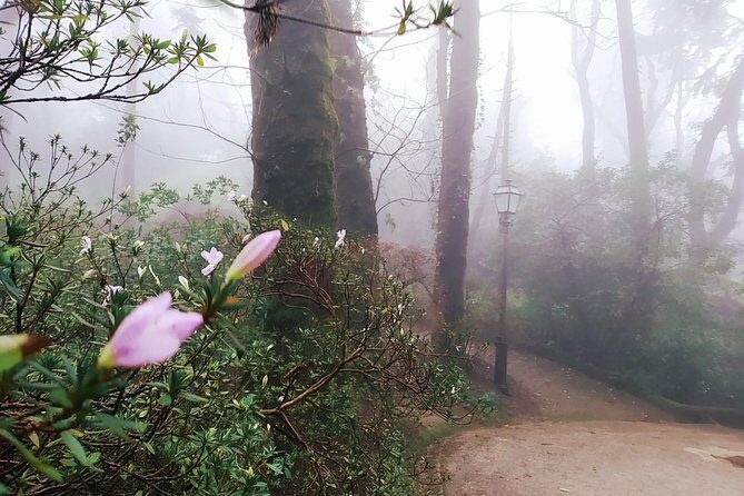 Private tour of Pena palace and Quinta da Regaleira - Key Points