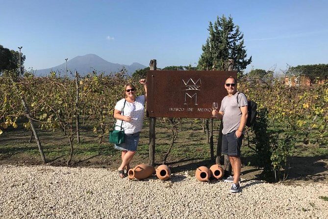 Private tour of Pompeii Ruins + Organic Wine and Lunch tasting - Practical Details: What to Expect and How to Prepare