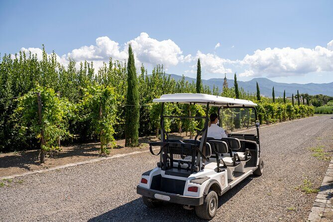 Private tour of Pompeii Ruins, Organic Wine tasting and Lunch - Frequently Asked Questions