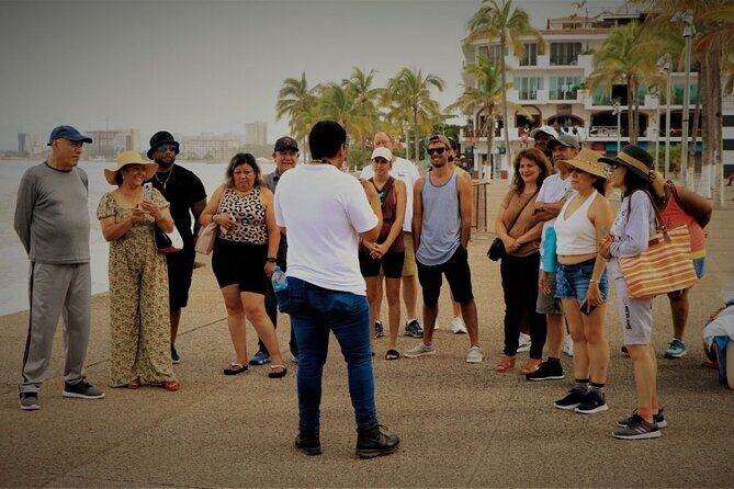 Private Tour of Puerto Vallarta and the Subtropical Forest - What to Expect: A Deep Dive into the Itinerary