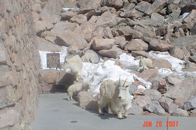 Private tour of Red Rocks, Echo Lake, Mount Evans and Idaho Springs. - Idaho Springs: From Gold Rush to Cozy Mountain Town