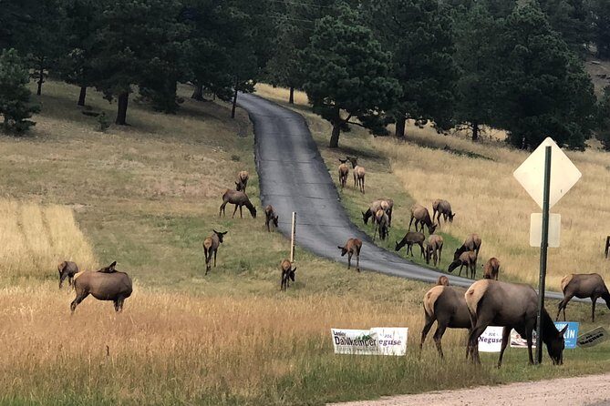Private tour of Red Rocks, Echo Lake, Mount Evans and Idaho Springs. - Practical Details and Tips