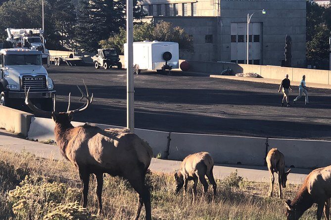 Private tour of Red Rocks, Echo Lake, Mount Evans and Idaho Springs. - Final Thoughts: Is This Tour Worth It?