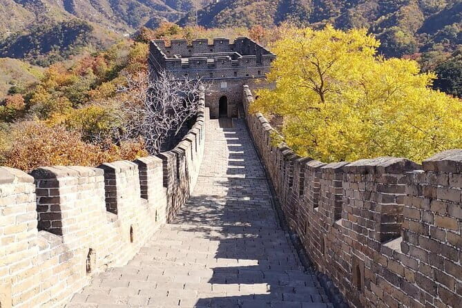 Private Tour of Shanghai Ocean Aquarium, Longhua Temple and Oriental Peal Tower - FAQ