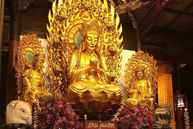 Private Tour of Shanghai Ocean Aquarium, Longhua Temple and Oriental Peal Tower - Practicalities and Value