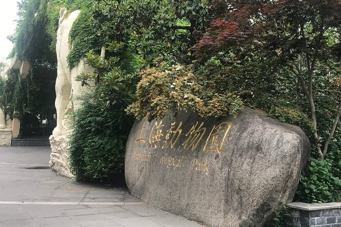Private Tour of Shanghai Zoo and Cruise on Huangpu River with Dim sum Lunch - Key Points