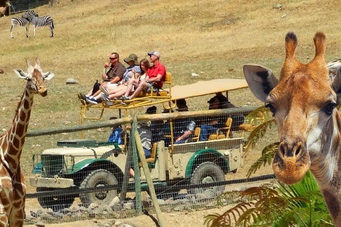 Private Tour of Sonoma Wild Safari Animal Park and Sonoma Redwoods - Who Would Appreciate This Tour?