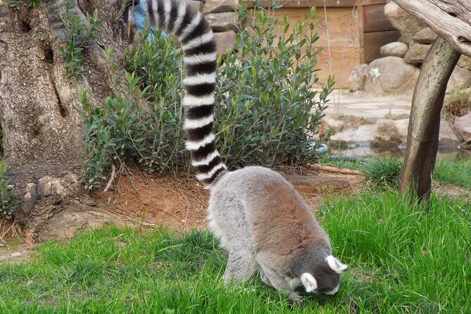 Private Tour of Sonoma Wild Safari Animal Park and Sonoma Redwoods - FAQ