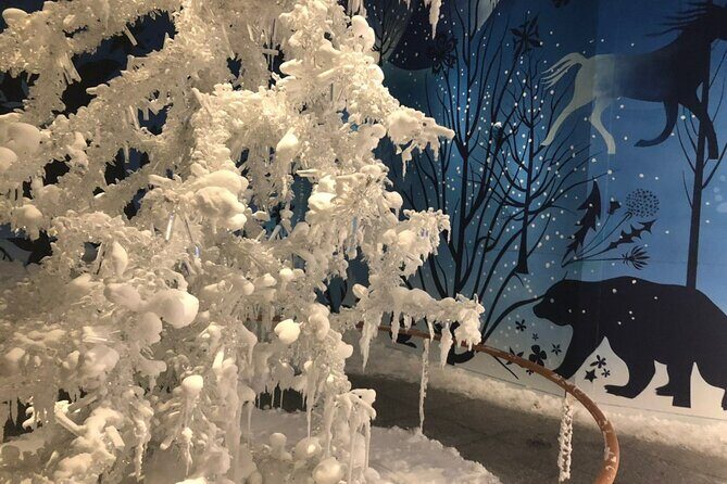 Private Tour of Swarovski Crystal World from Innsbruck - Practical Tips for Your Visit