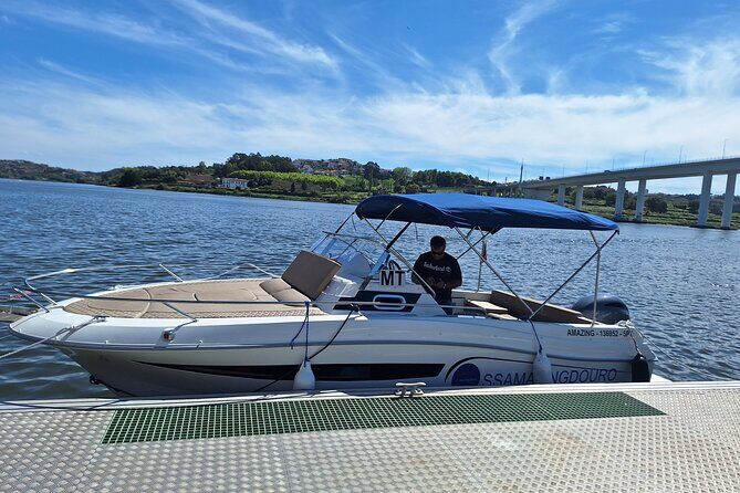 Private Tour of the 6 Bridges with Port Wine - The Set-Up and Booking Process