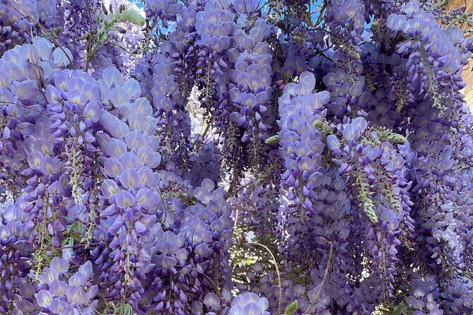 Private Tour of the Alhambra in Granada (includes tickets) - Final Thoughts