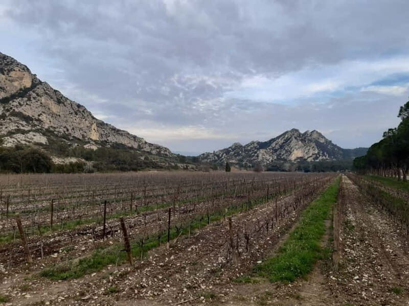 Private tour of the Alpilles, wine tastings, and local restaurant - A Detailed Look at the Tour Experience