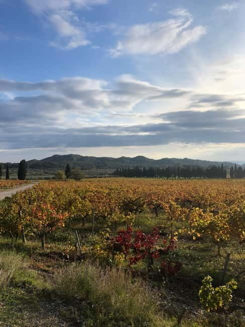 Private tour of the Alpilles, wine tastings, and local restaurant - Why Travelers Found This Tour Valuable