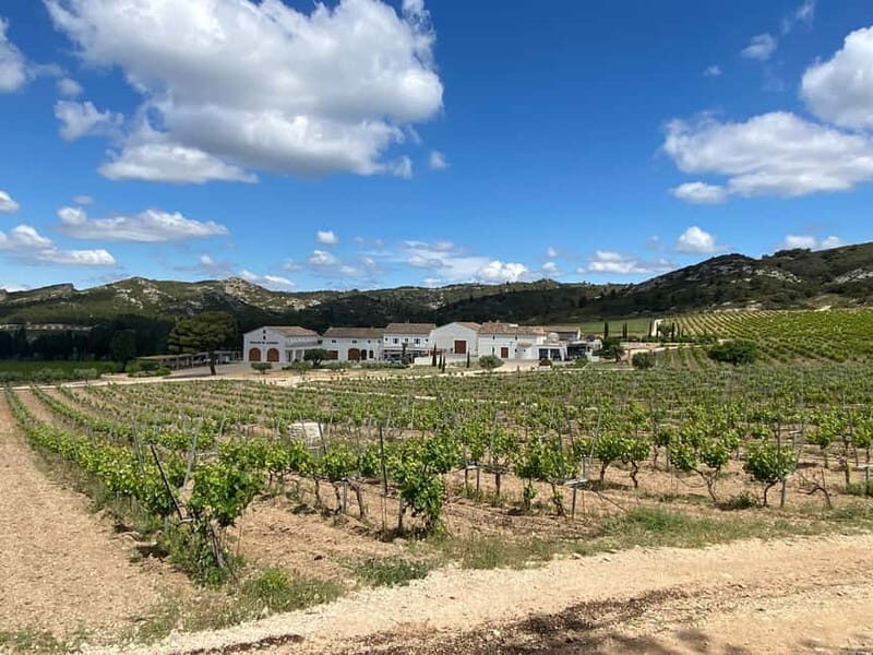 Private tour of the Alpilles, wine tastings, and local restaurant - Who Would Love This Tour?