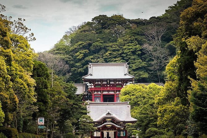 Private Tour of the Ancient Capital Kamakura from Tokyo - The Magnificence of the Great Buddha at Kotoku-in