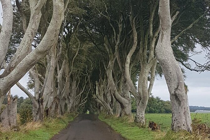 Private tour of the Antrim coast , Giants Causeway and Game of Throne locations - The Sum Up