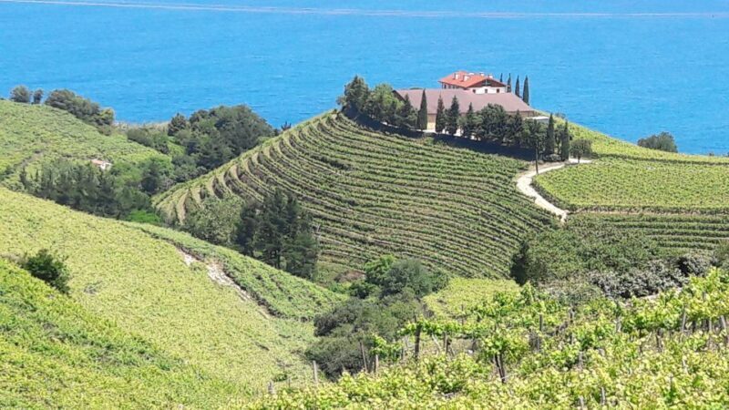 Private Tour of the Basque Coast and Countryside - FAQ