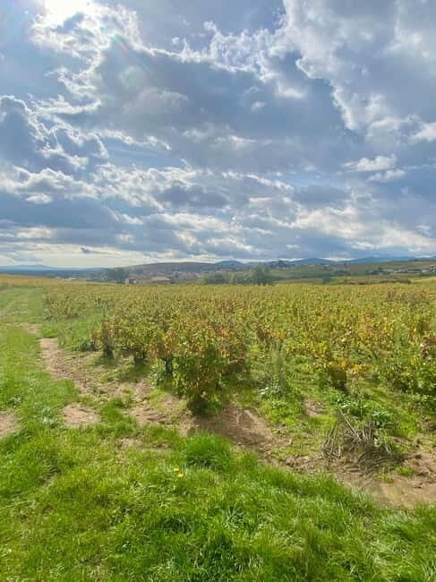 Private tour of the Beaujolais region, wine tastings, and local restaurant - A Closer Look at the Tour Experience