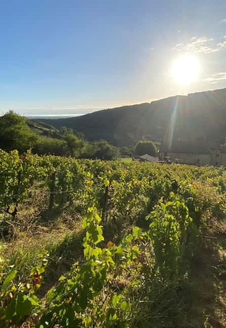 Private tour of the Beaujolais region, wine tastings, and local restaurant - What Makes This Tour Stand Out