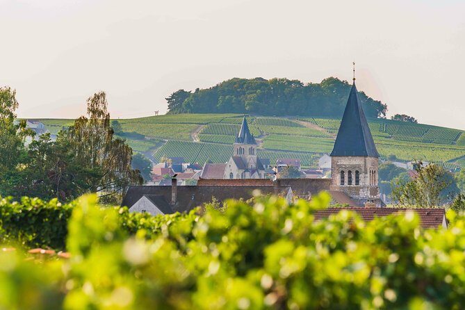 Private tour of the Champagne area, meet local producers and taste their Champagne, start from your hotel in Paris. - An In-Depth Look at What You Can Expect