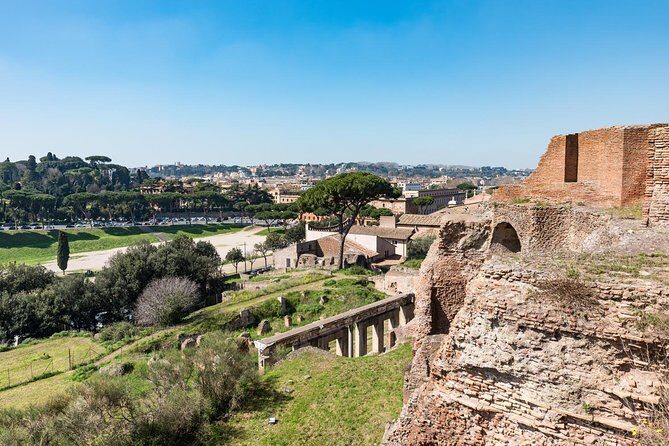 Private Tour of the Colosseum with Roman Forum & Palatine Hill - Who Is This Tour Best Suited For?