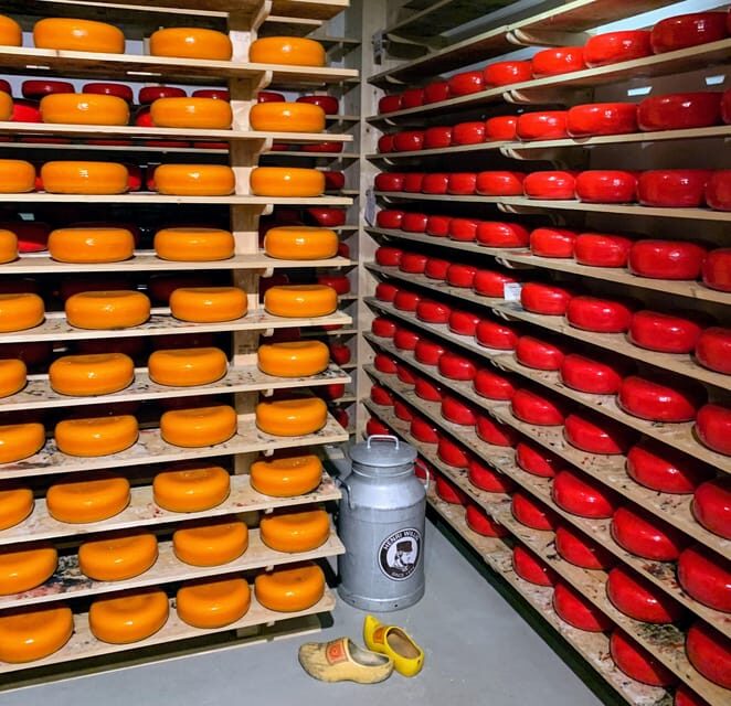 Private Tour of the Dutch Countryside by Car - Who Will Love This Tour?