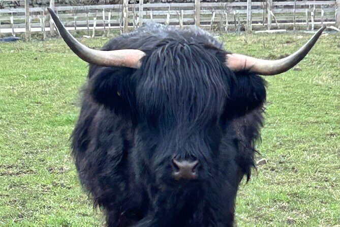 Private Tour of the Highlands, Glencoe and Castles from Stirling - The Practicalities: What’s Included and What to Expect