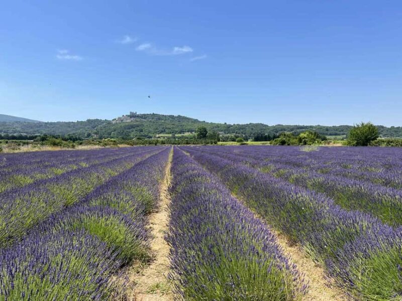 Private tour of the hilltop villages of the Luberon with a local guide - Key Points