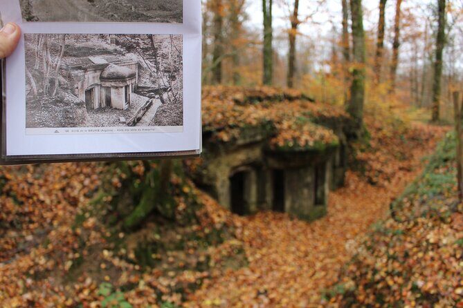 Private Tour of the Meuse-Argonne 1918 Battlefields from Reims - Transportation, Timing, and Comfort