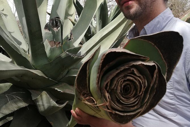 Private Tour of the Mezcal Route with Ancestral Drinks - Final Thoughts on the Mezcal Route Tour