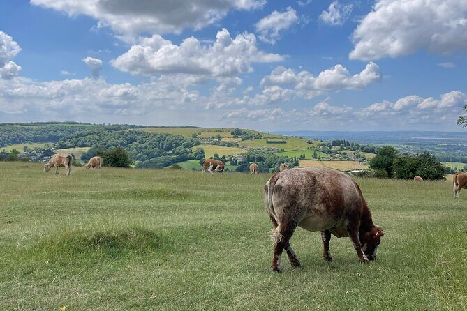 Private tour of the stunning Cotswolds with an expert local guide - Practical Considerations