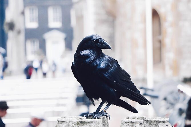 Private Tour of The Tower of London - Is It Worth the Price?
