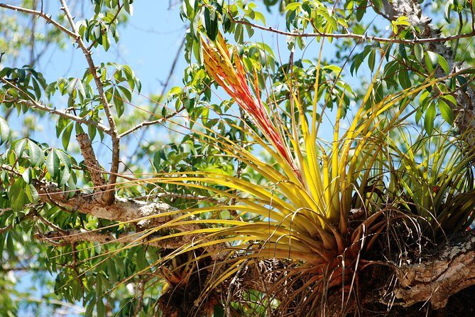 Private tour of Tulum Archaeological Site & Sian Ka'an Muyil - Who Will Love This Tour?