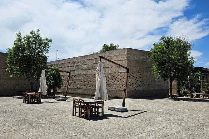Private Tour of Wineries in San Miguel - An In-Depth Look at the Tour Itinerary