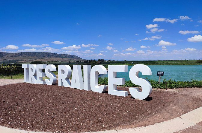 Private Tour of Wineries in San Miguel - Who Will Love This Tour?