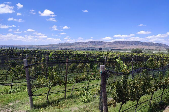 Private Tour of Wineries in San Miguel - Frequently Asked Questions