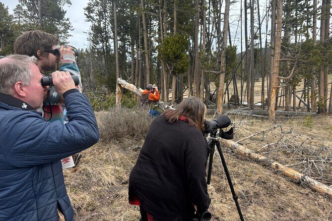 Private Tour of Yellowstones Natural Wonders from Jackson Hole - Pricing and Value