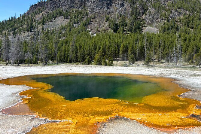 Private Tour of Yellowstones Natural Wonders from Jackson Hole - The Sum Up