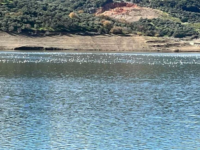 Private Tour, Olive Mill, Scotino Cave, Lasithi Plateau H/D - FAQ